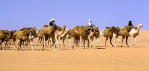 Islam in African Culture