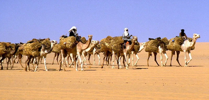 Islam in African Culture