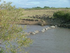 The Maasai Mara