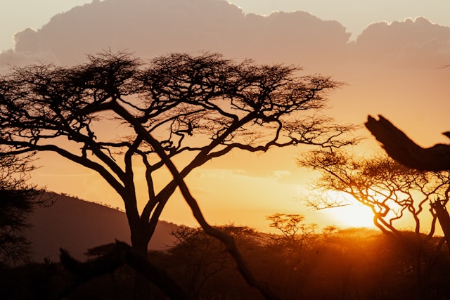How African Proverbs Preserve Traditional Language