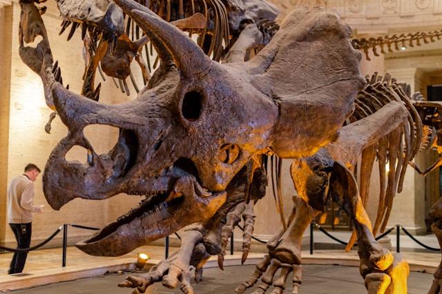 Unveiling Prehistoric Africa