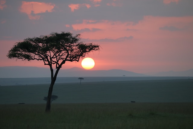 Voice of the Africa